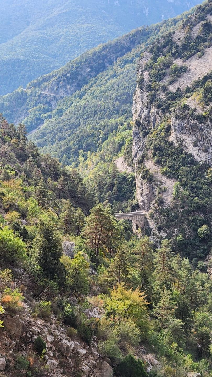 Le paysage boisé vu depuis la falaise d’Aiglun